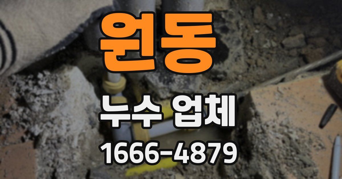 원동 누수 업체