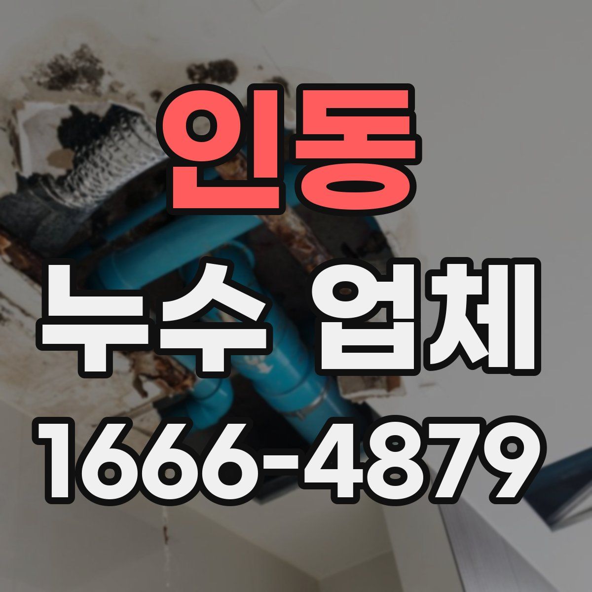 인동 누수 업체