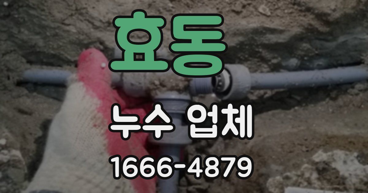 효동 누수 업체