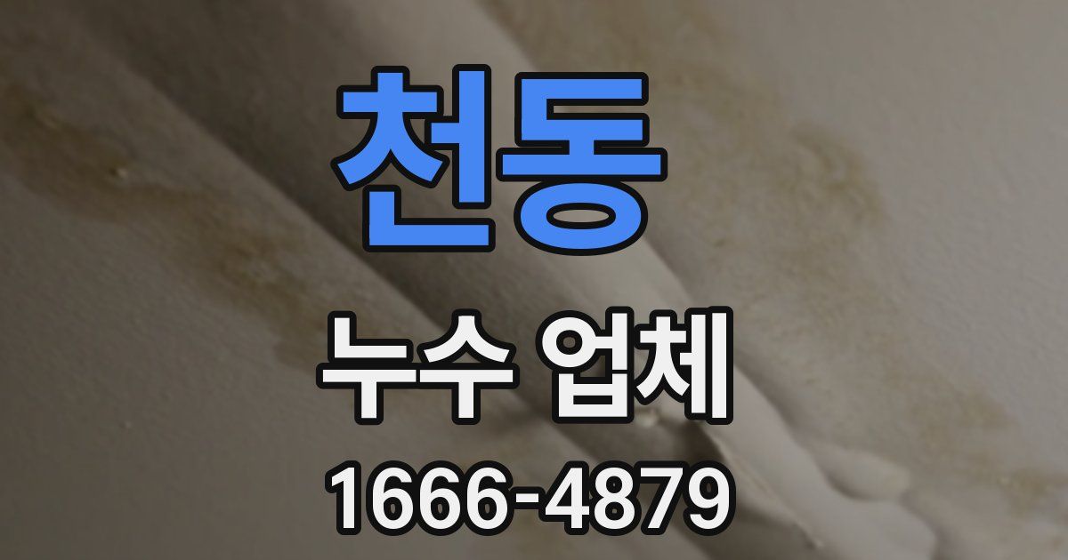 천동 누수 업체