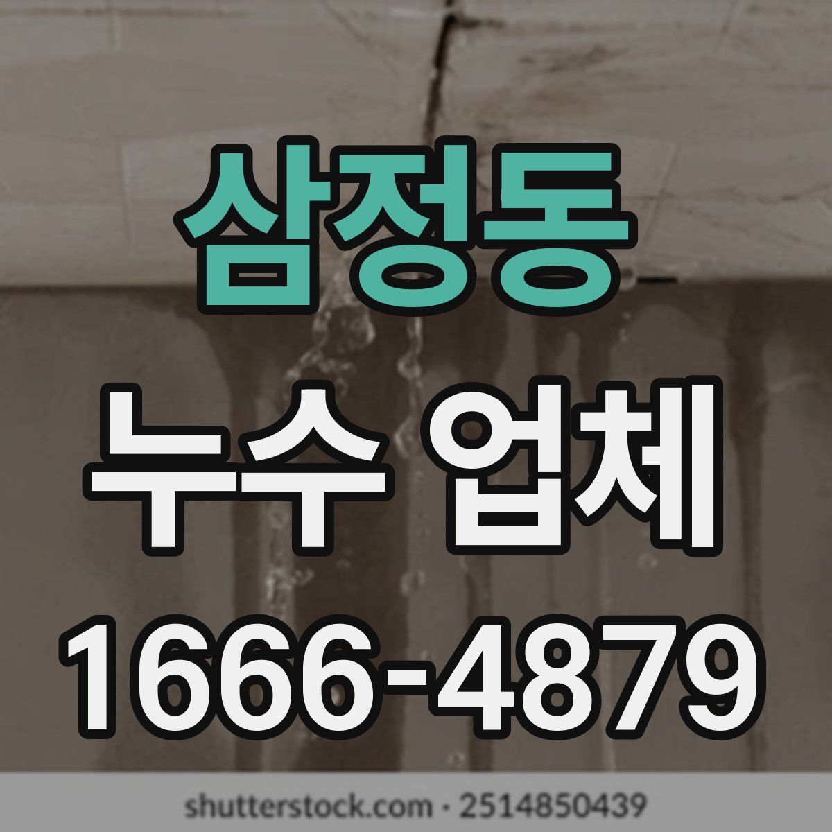 삼정동 누수 업체