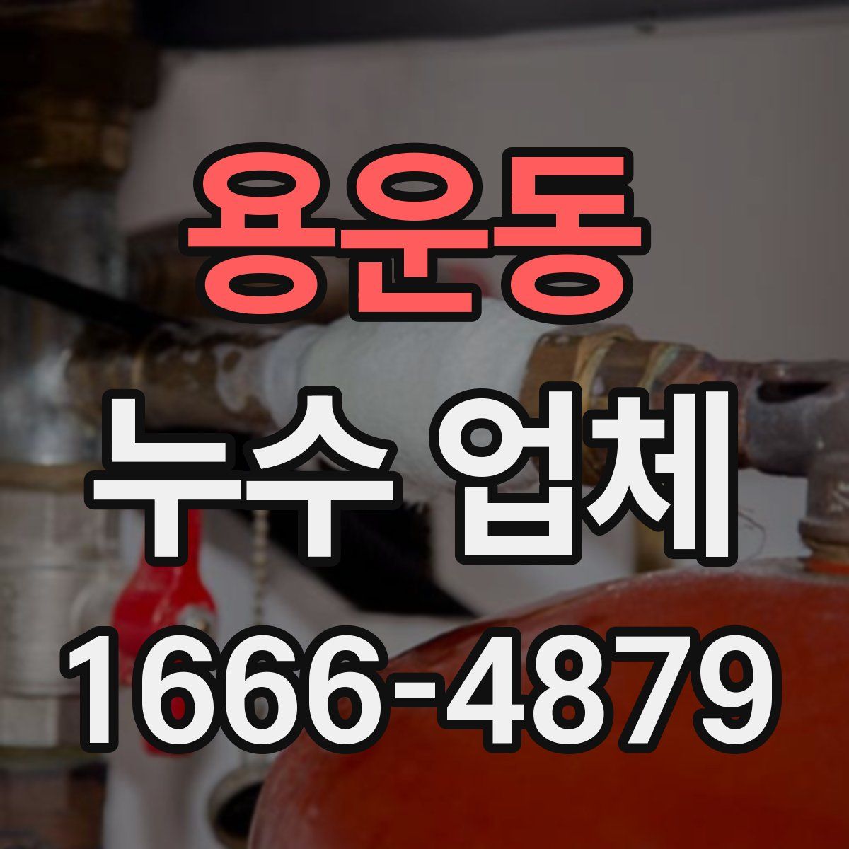 용운동 누수 업체