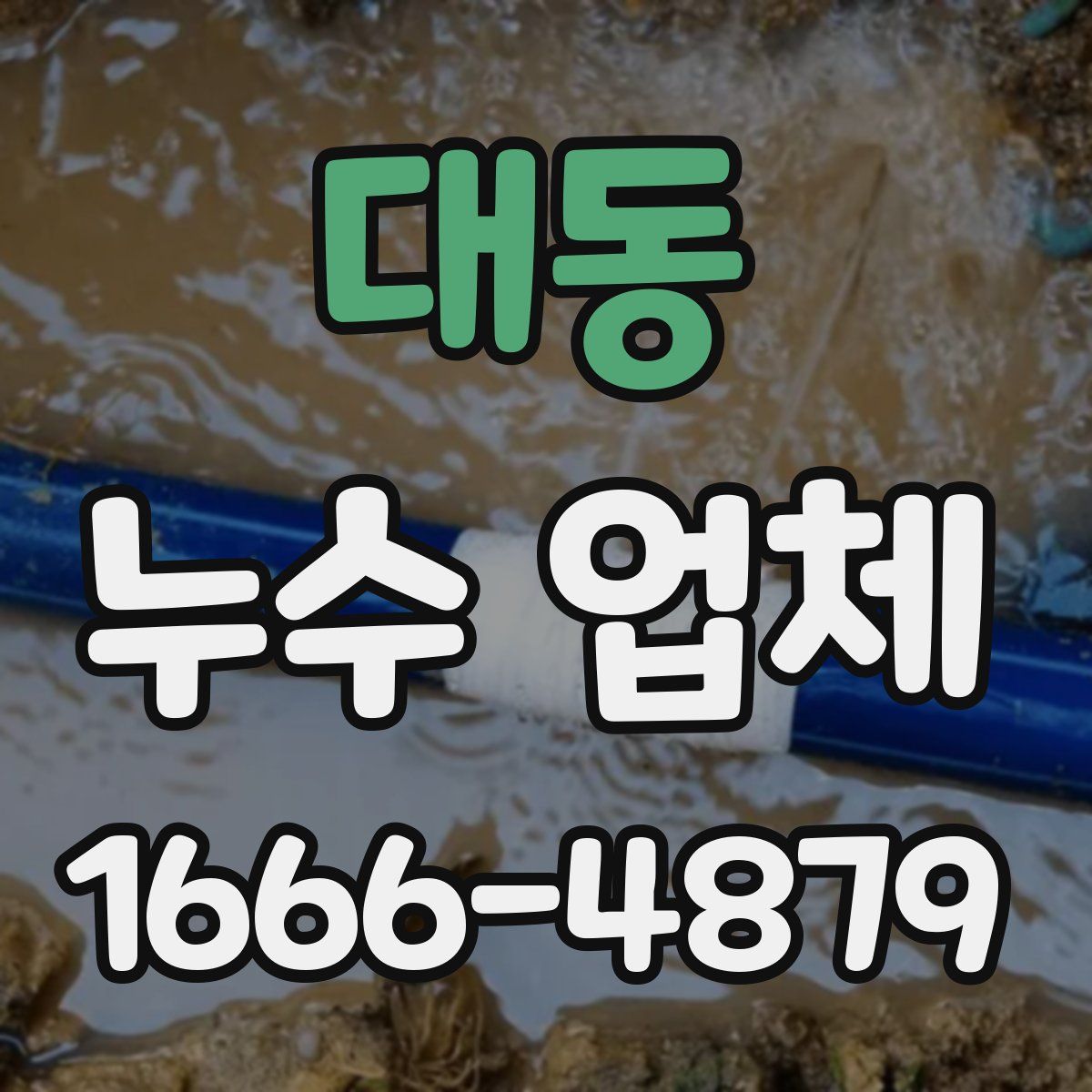 대동 누수 업체