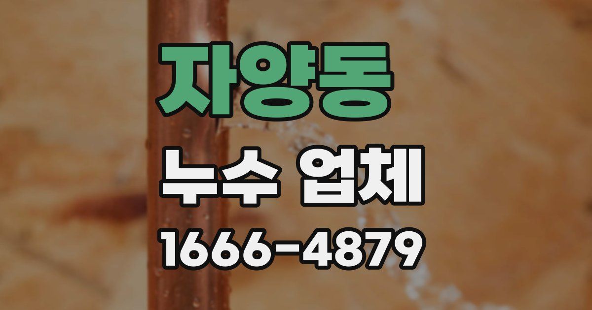 자양동 누수 업체