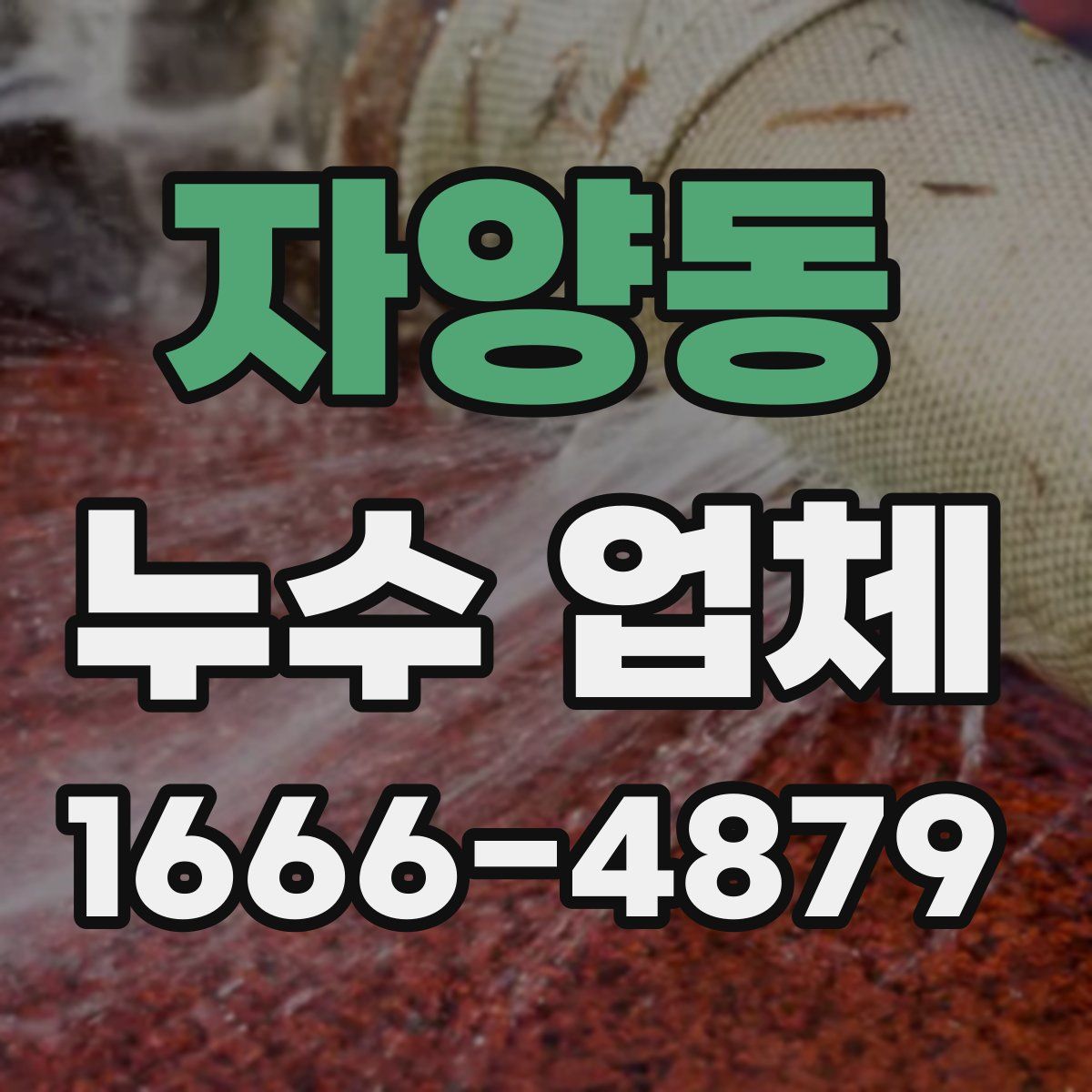 자양동 누수 업체