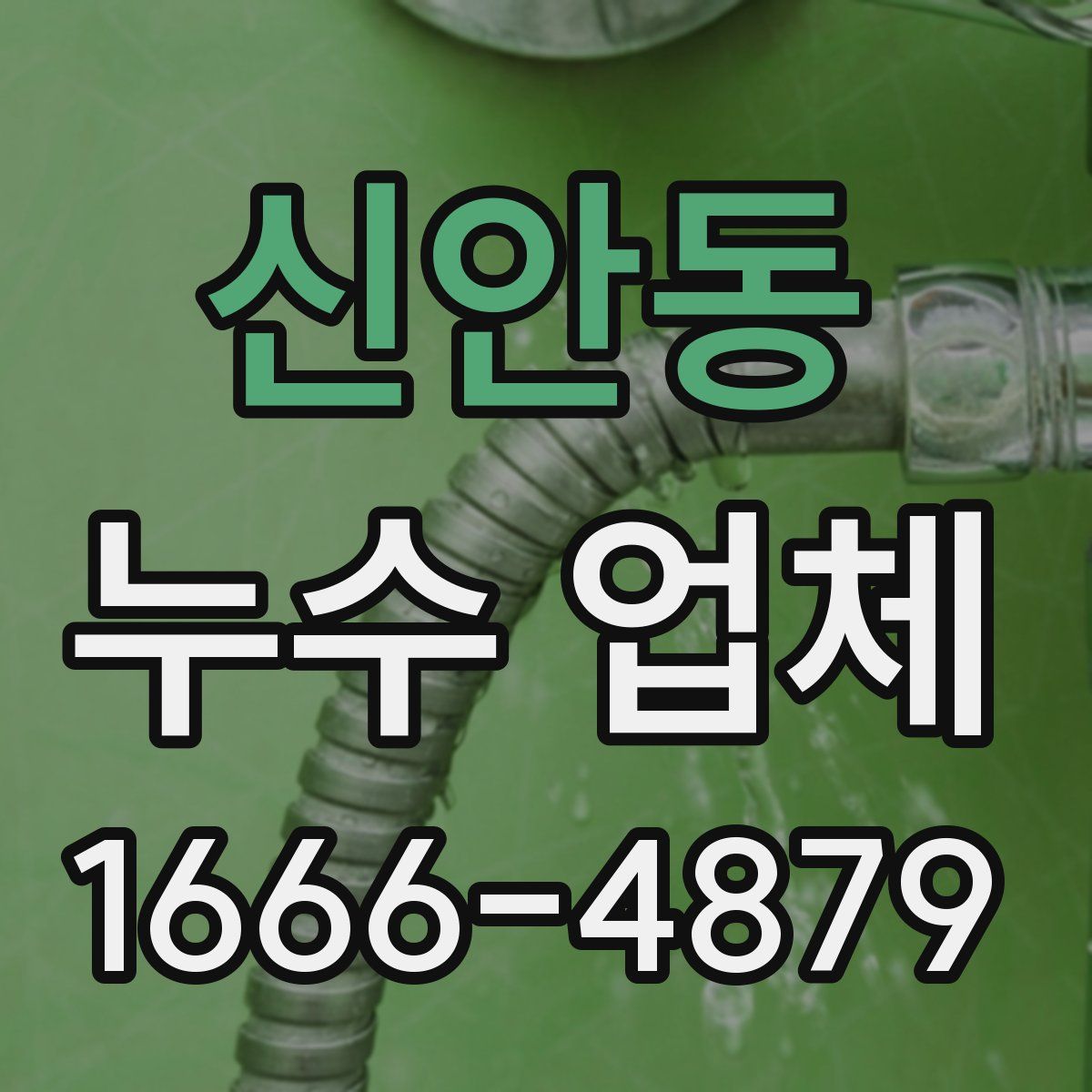 신안동 누수 업체