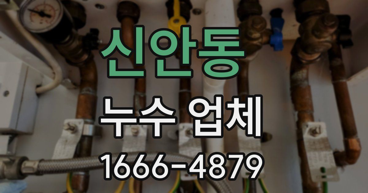 신안동 누수 업체
