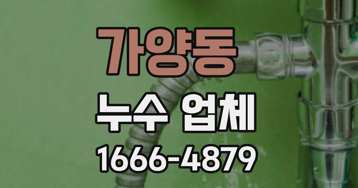 가양동 누수 업체