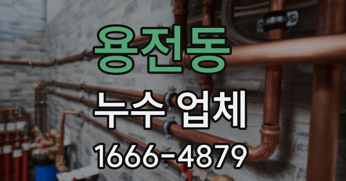 용전동 누수 업체