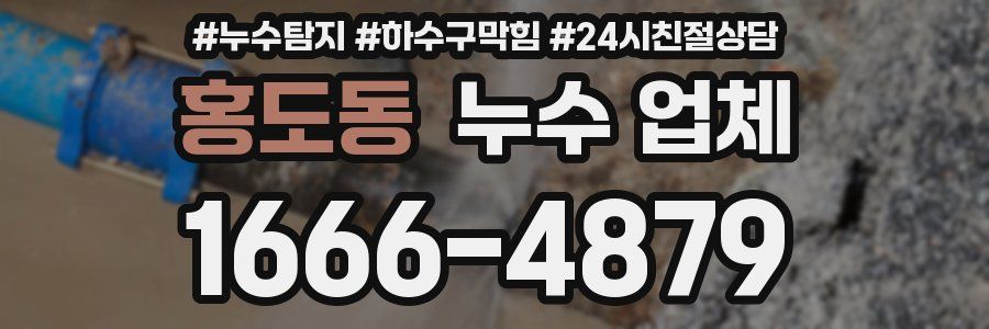 홍도동 누수 업체