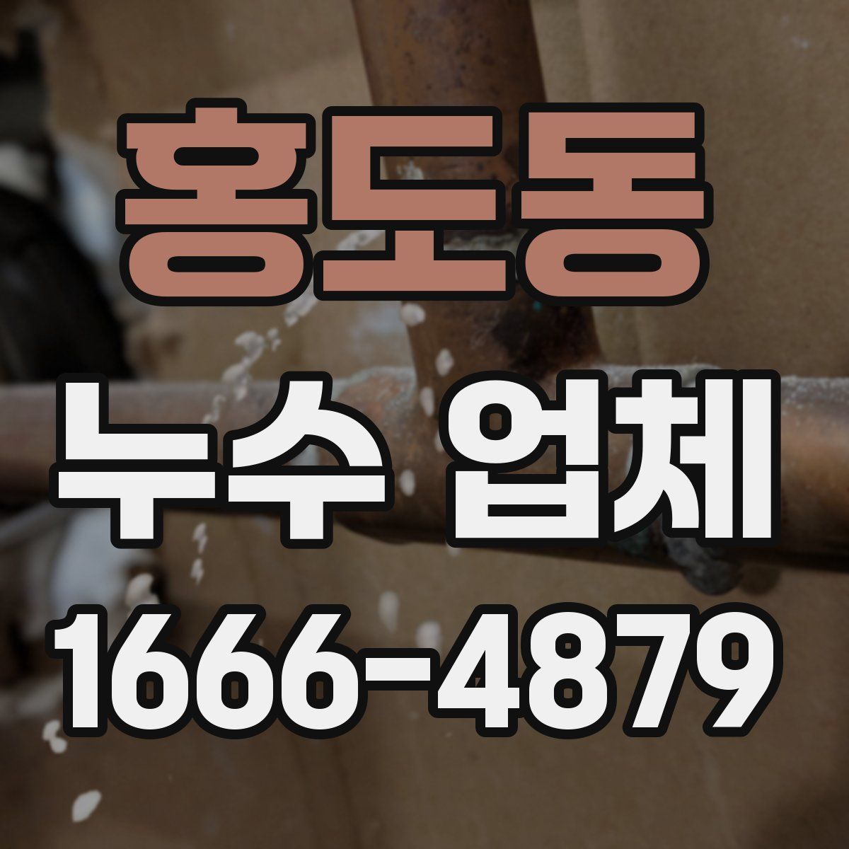 홍도동 누수 업체