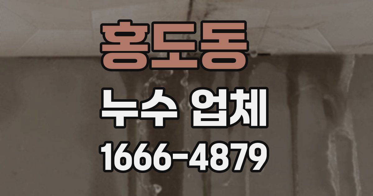 홍도동 누수 업체