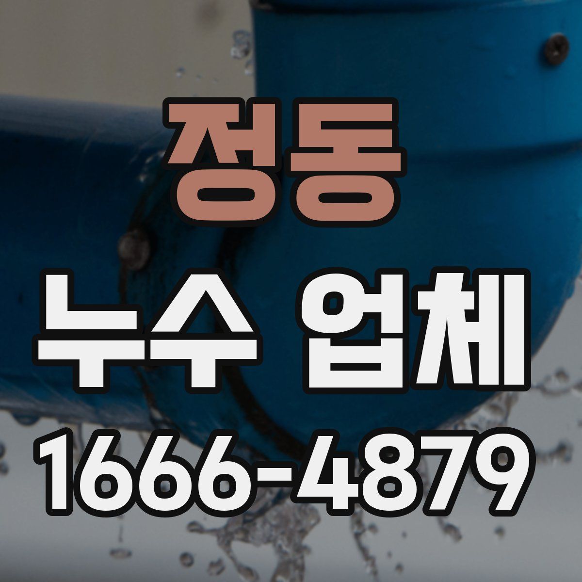 정동 누수 업체