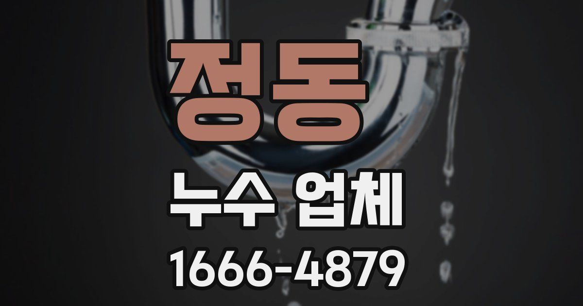 정동 누수 업체