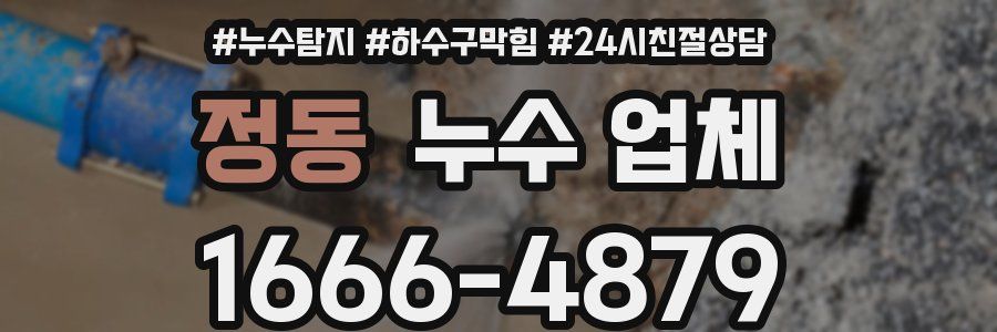 정동 누수 업체