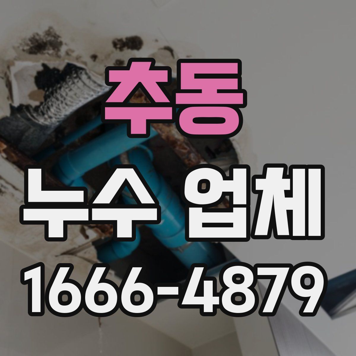 추동 누수 업체