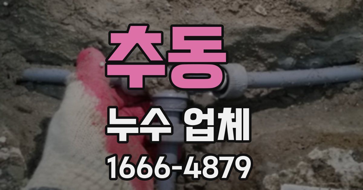 추동 누수 업체