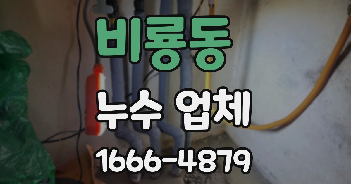 비룡동 누수 업체