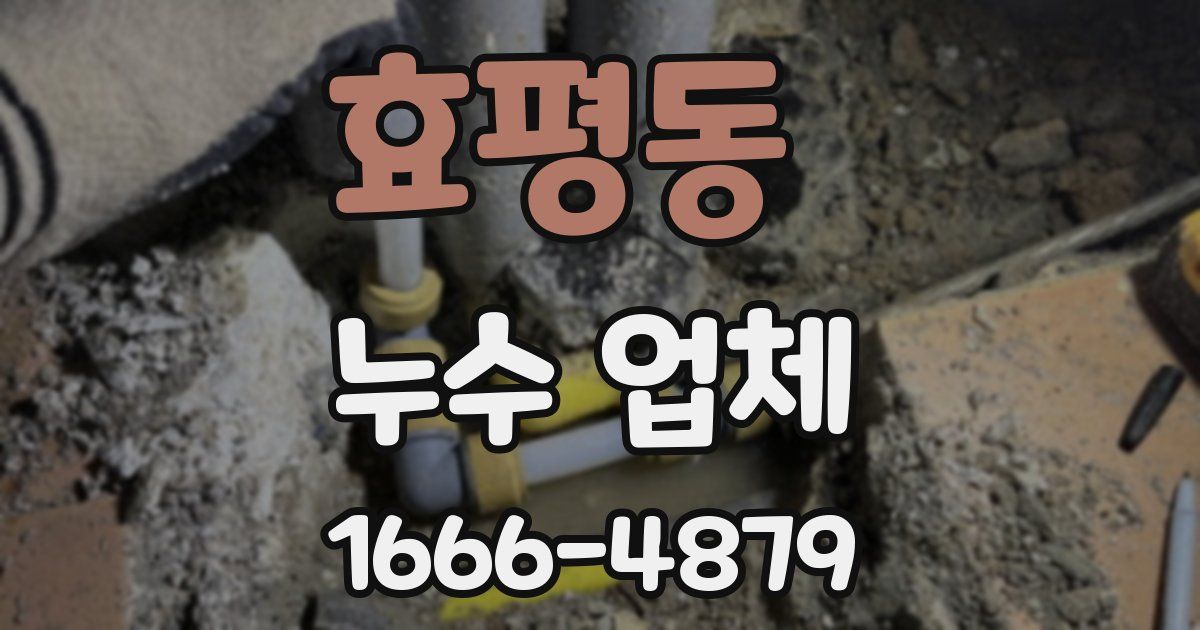 효평동 누수 업체