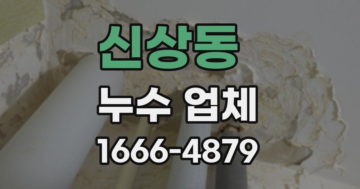 신상동 누수 업체