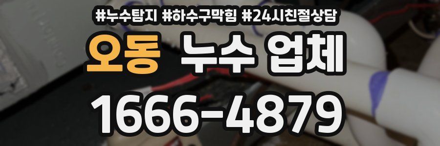오동 누수 업체