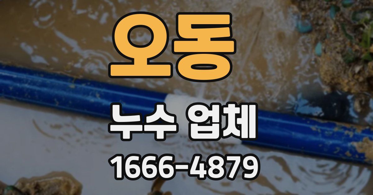 오동 누수 업체