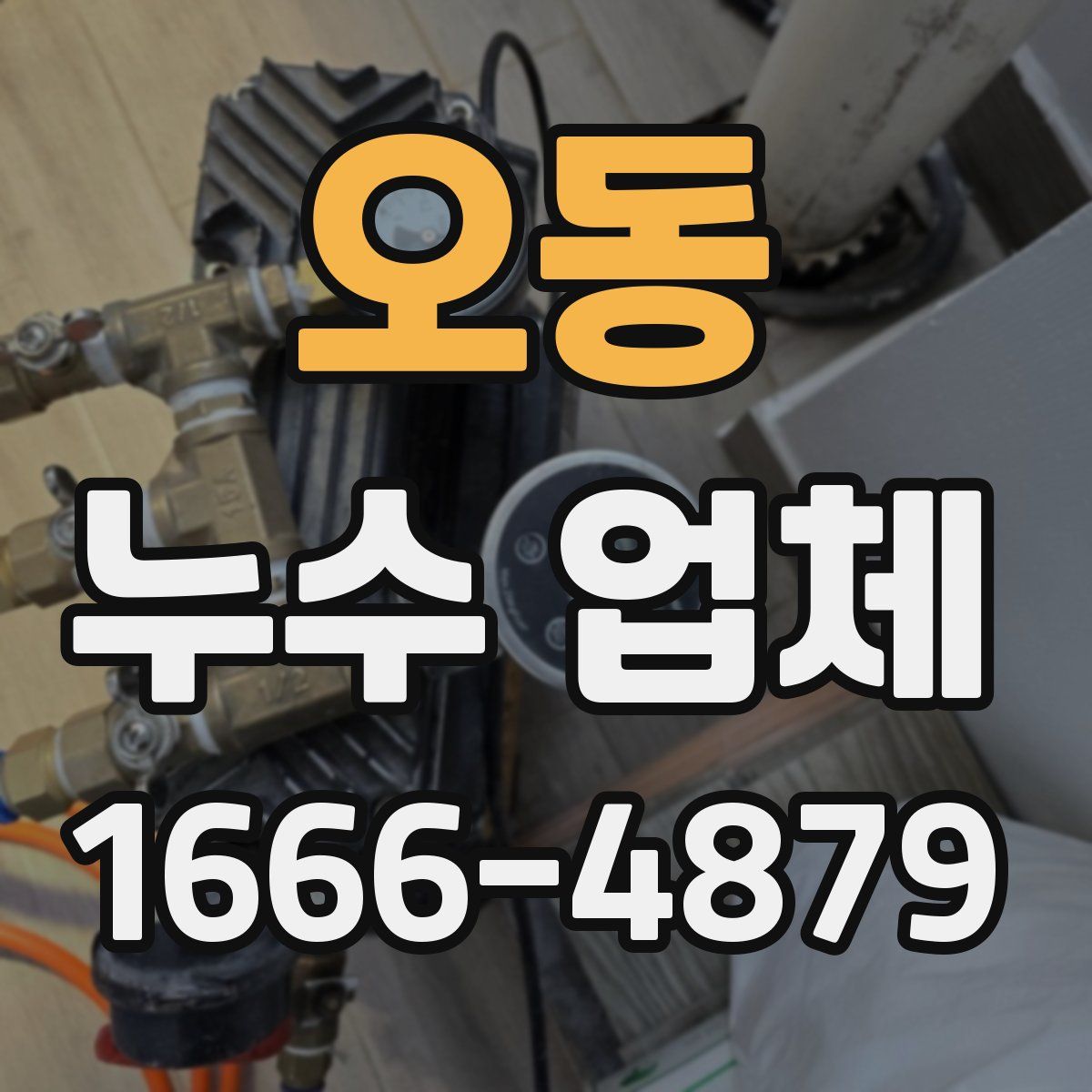 오동 누수 업체