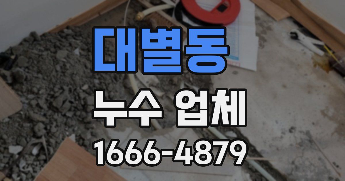 대별동 누수 업체