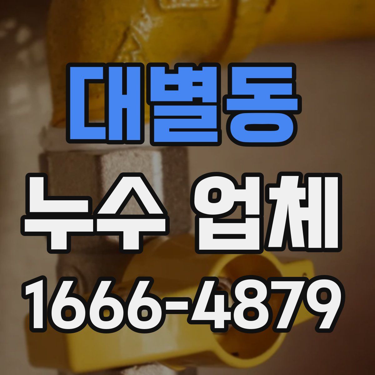 대별동 누수 업체