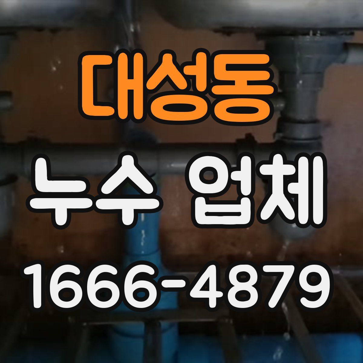 대성동 누수 업체