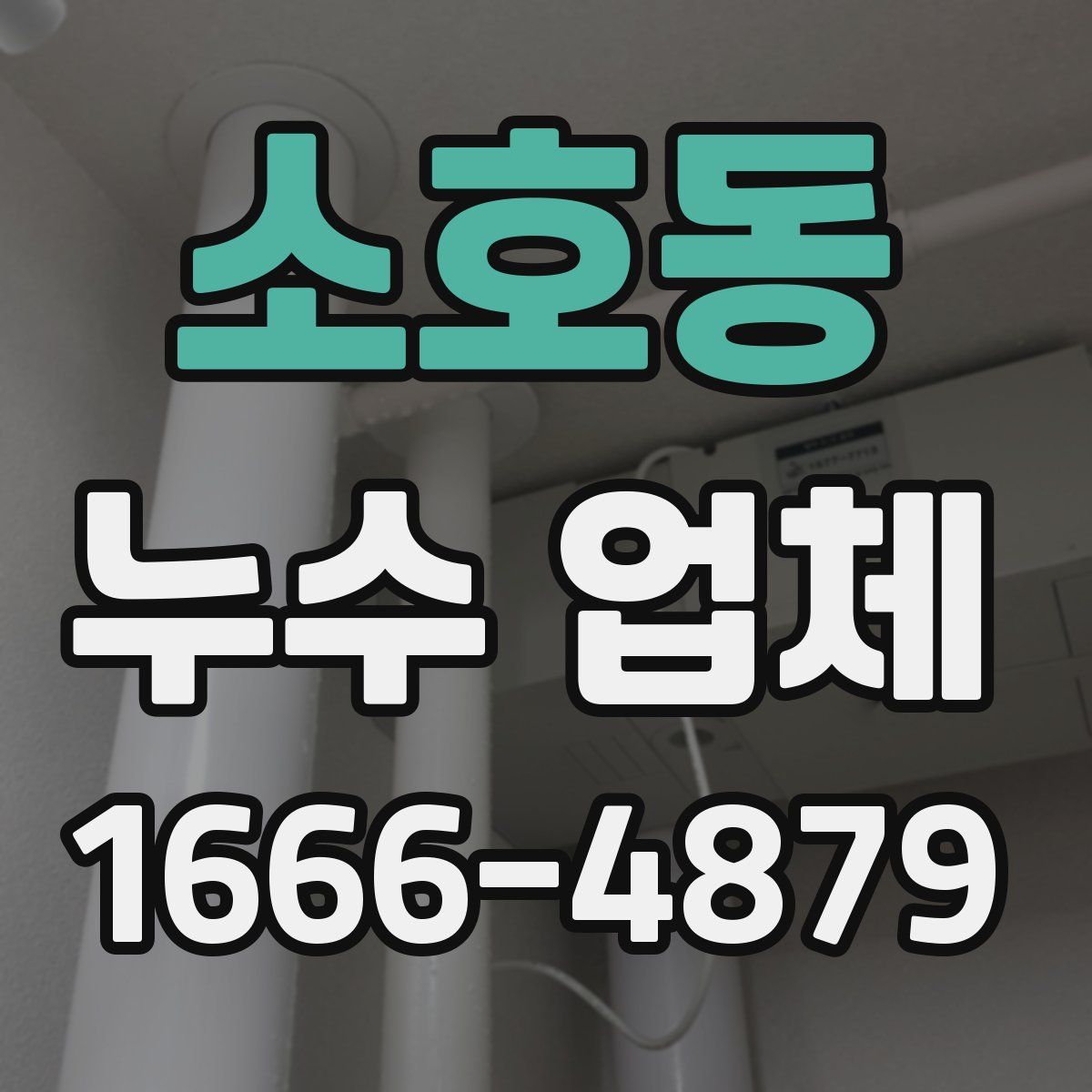소호동 누수 업체