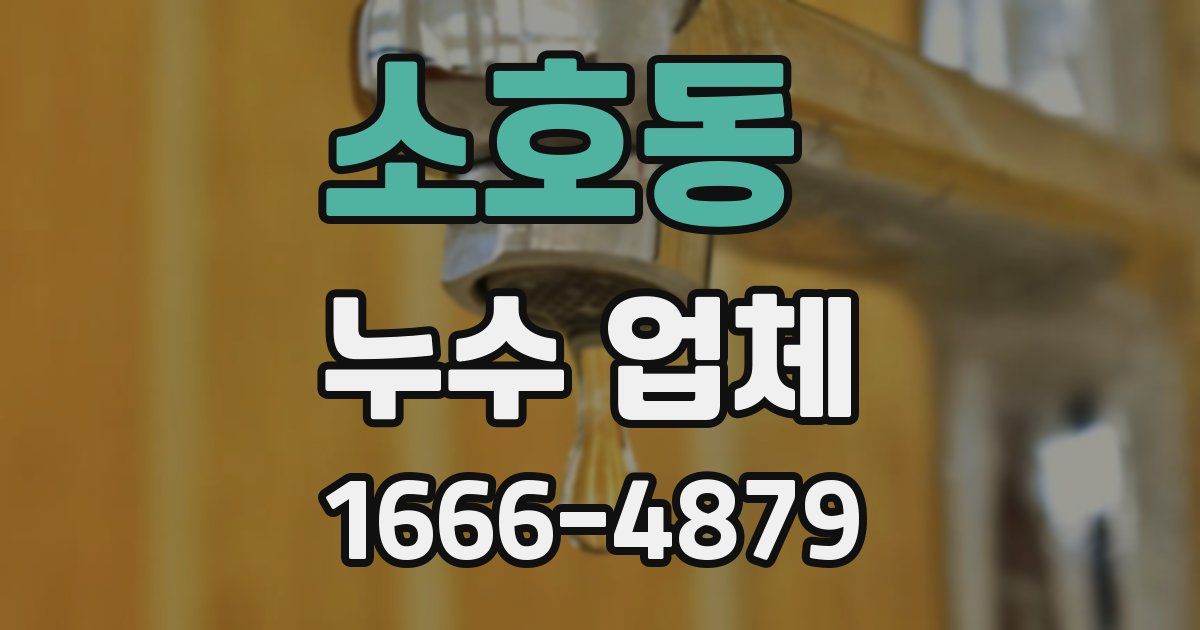 소호동 누수 업체