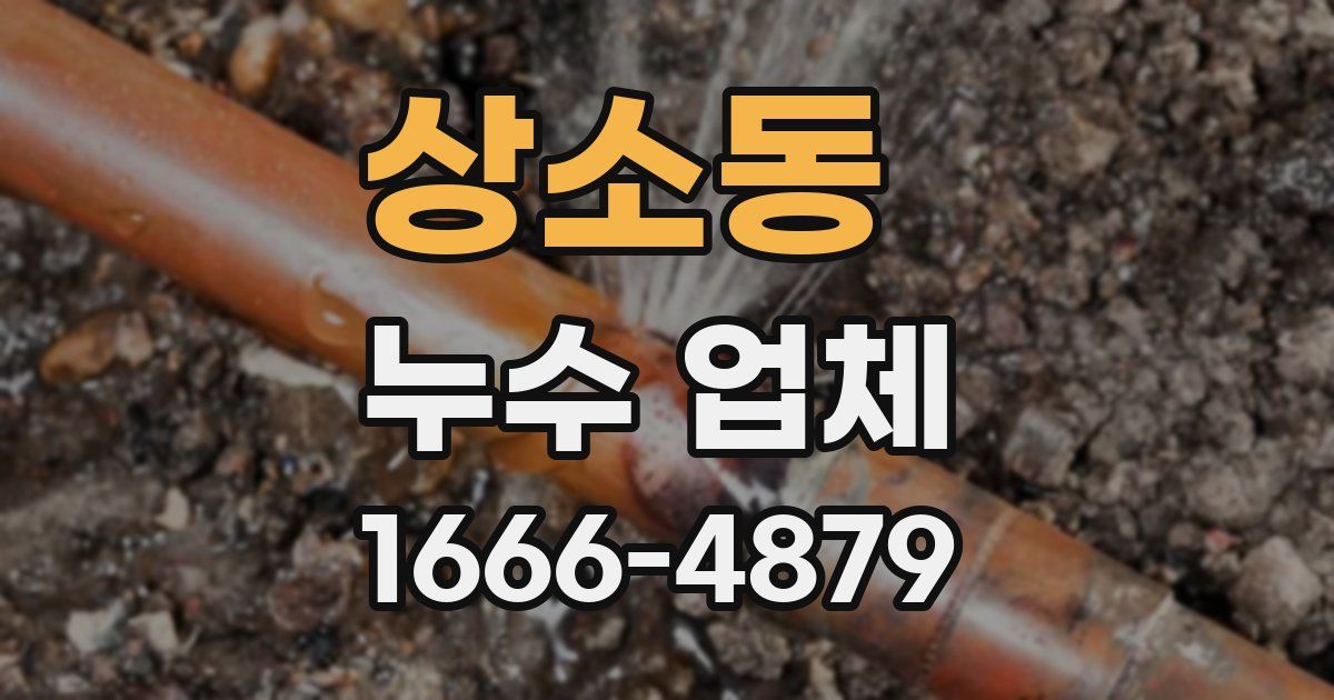 상소동 누수 업체