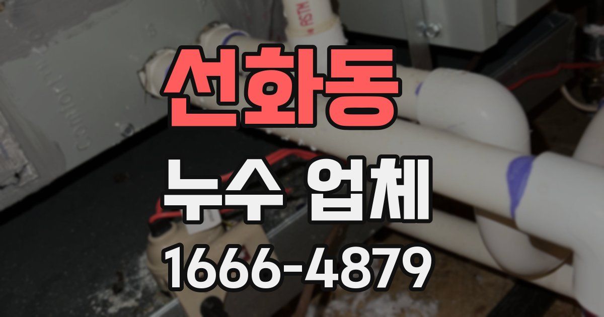 선화동 누수 업체