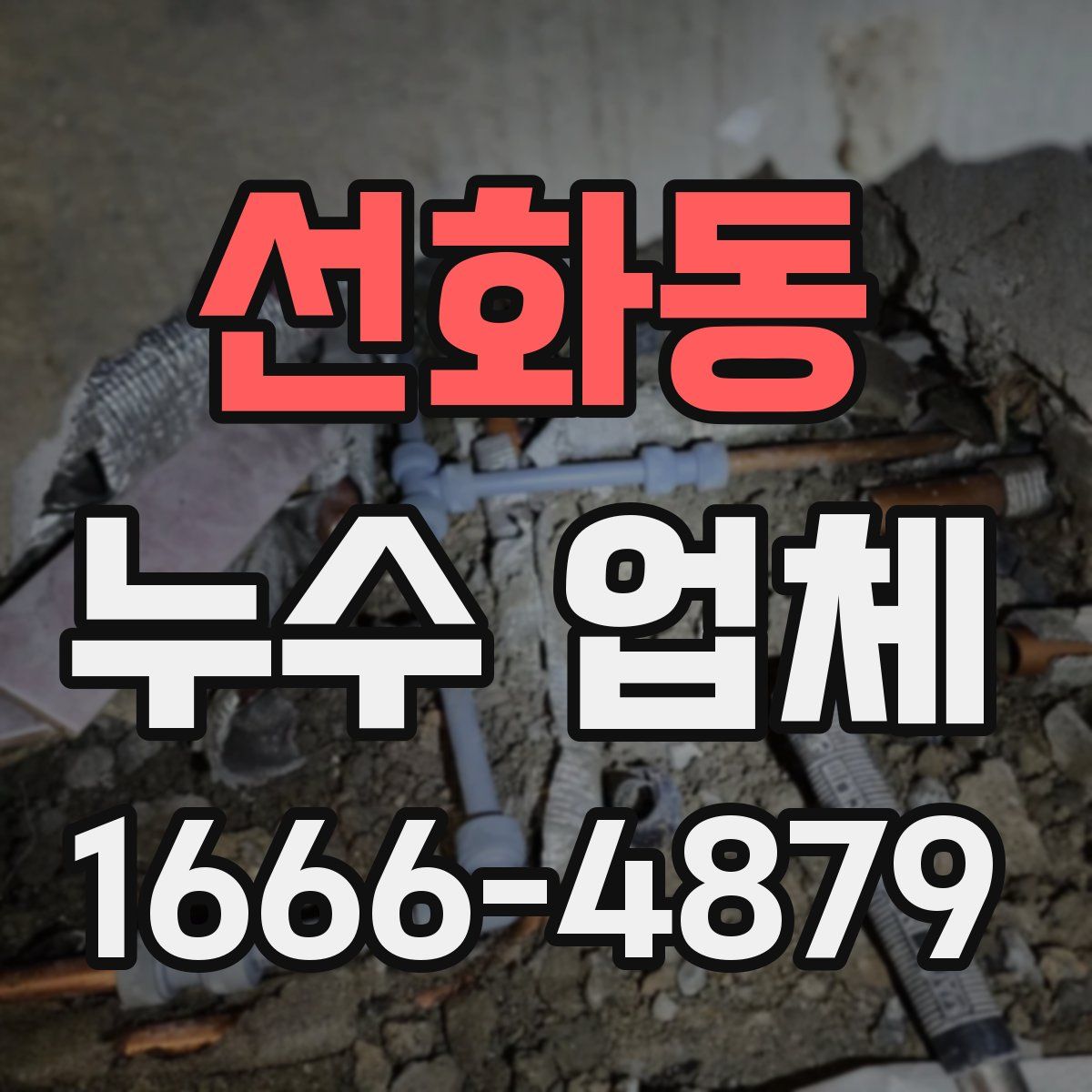 선화동 누수 업체