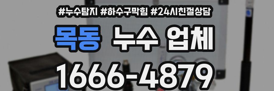 목동 누수 업체