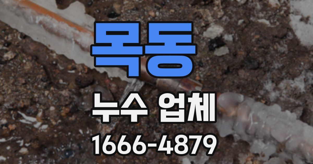 목동 누수 업체