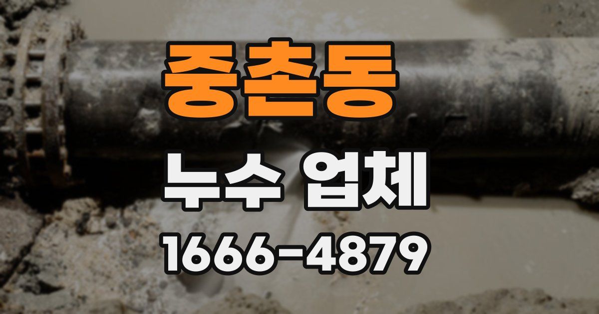 중촌동 누수 업체