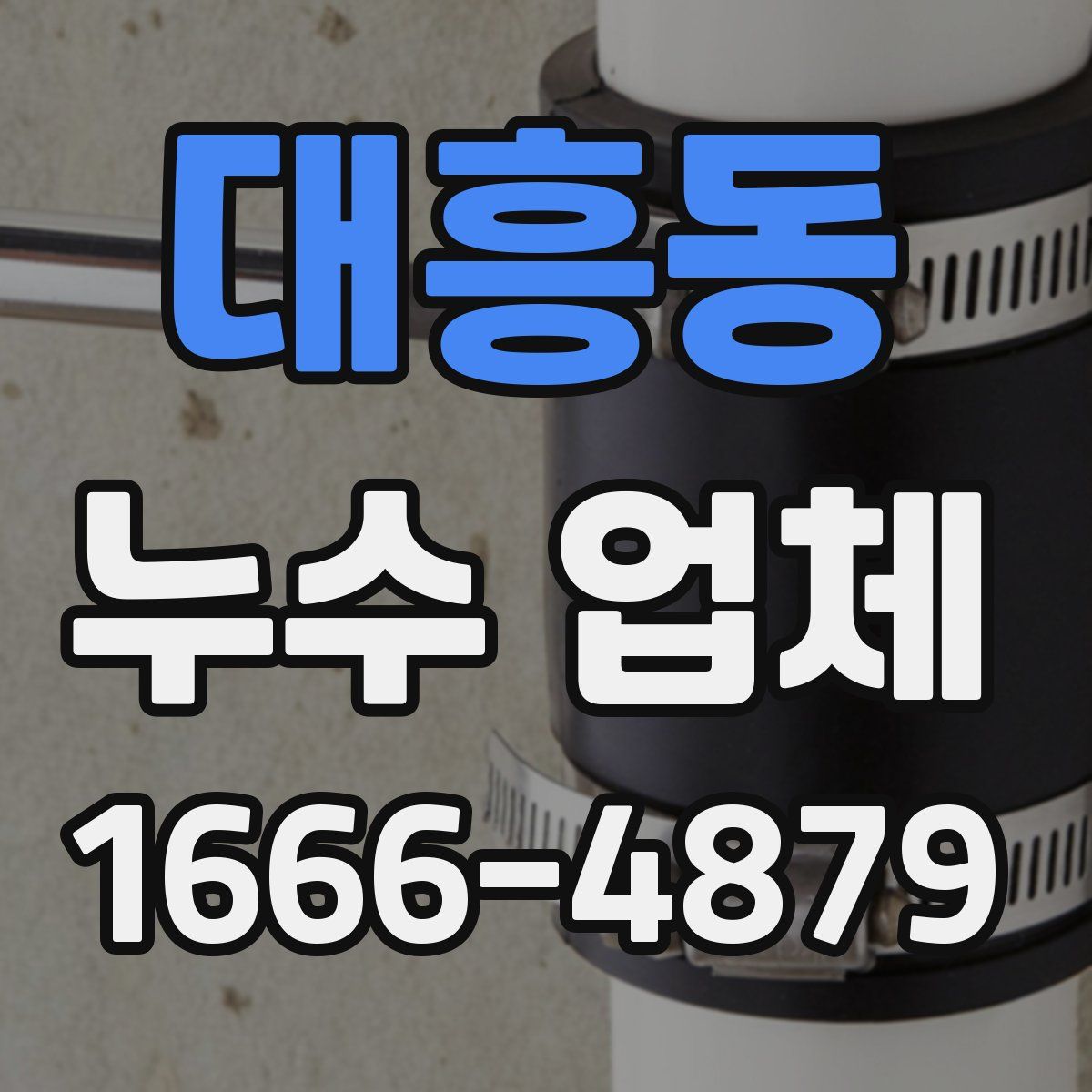 대흥동 누수 업체
