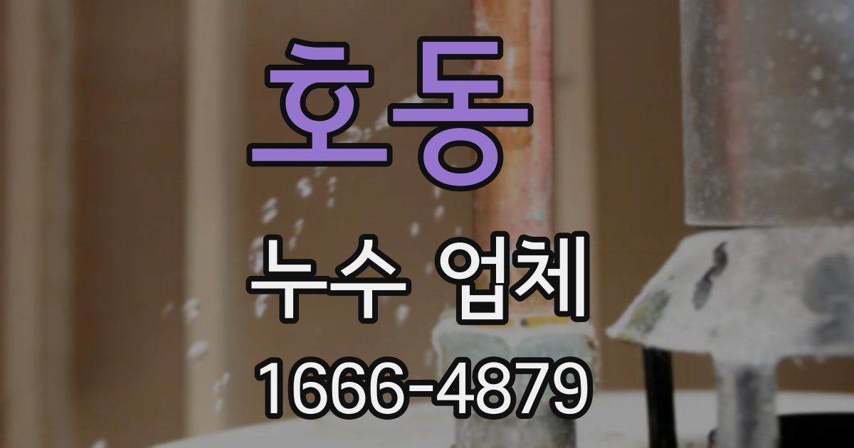 호동 누수 업체