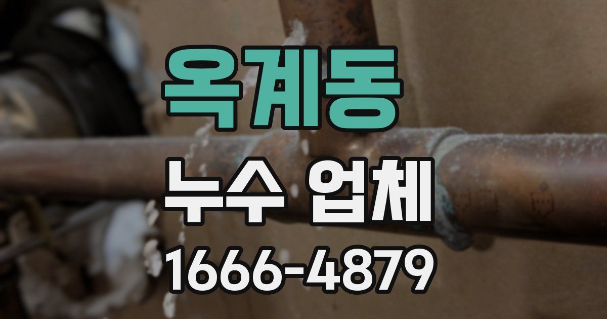 옥계동 누수 업체