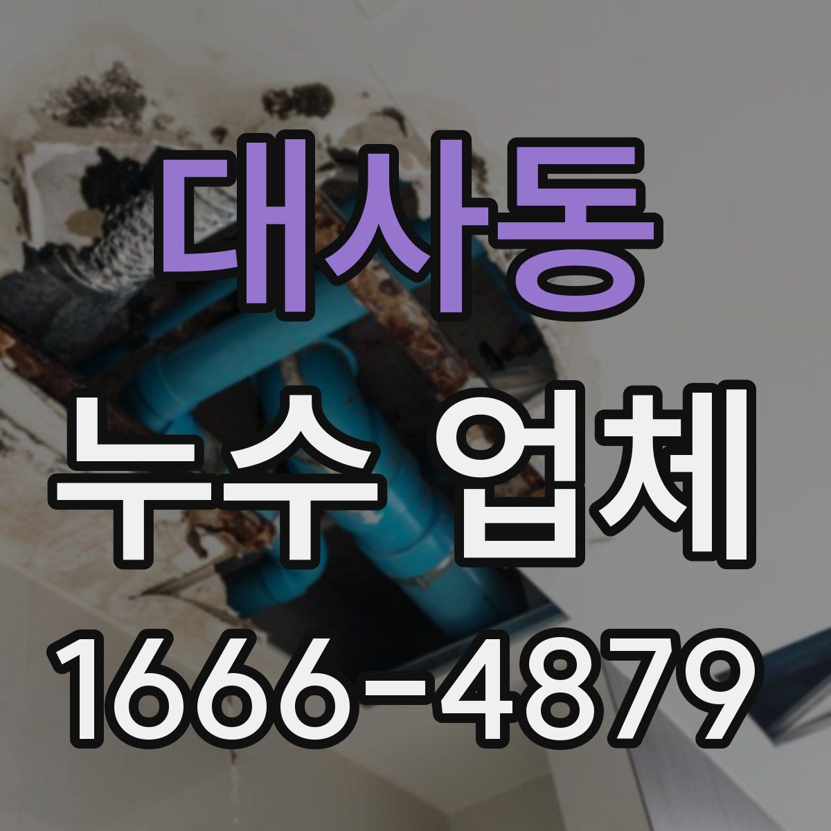 대사동 누수 업체
