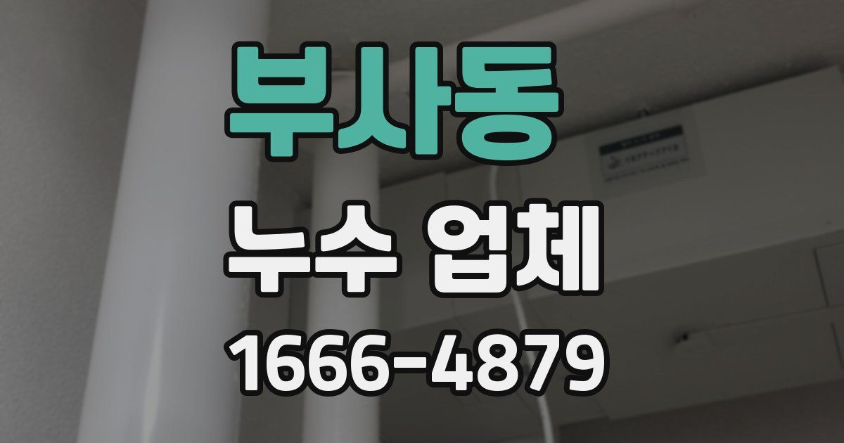 부사동 누수 업체