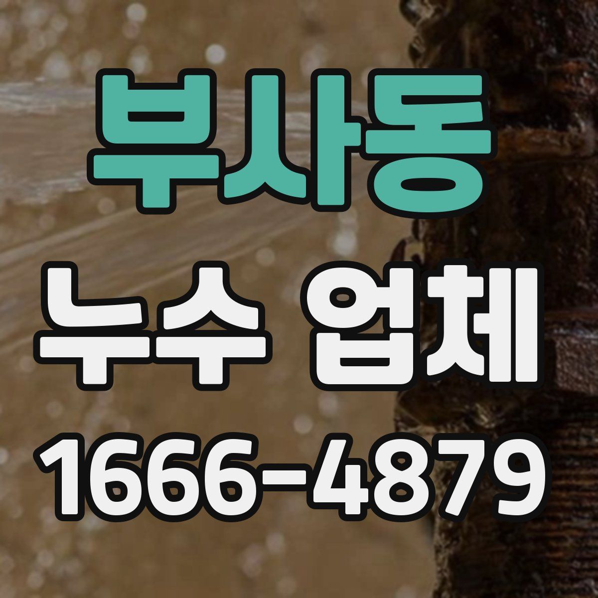 부사동 누수 업체