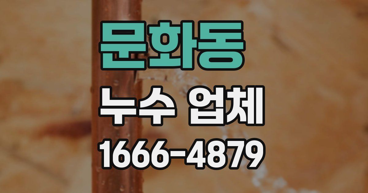 문화동 누수 업체