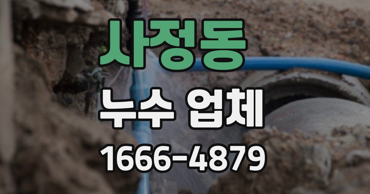 사정동 누수 업체