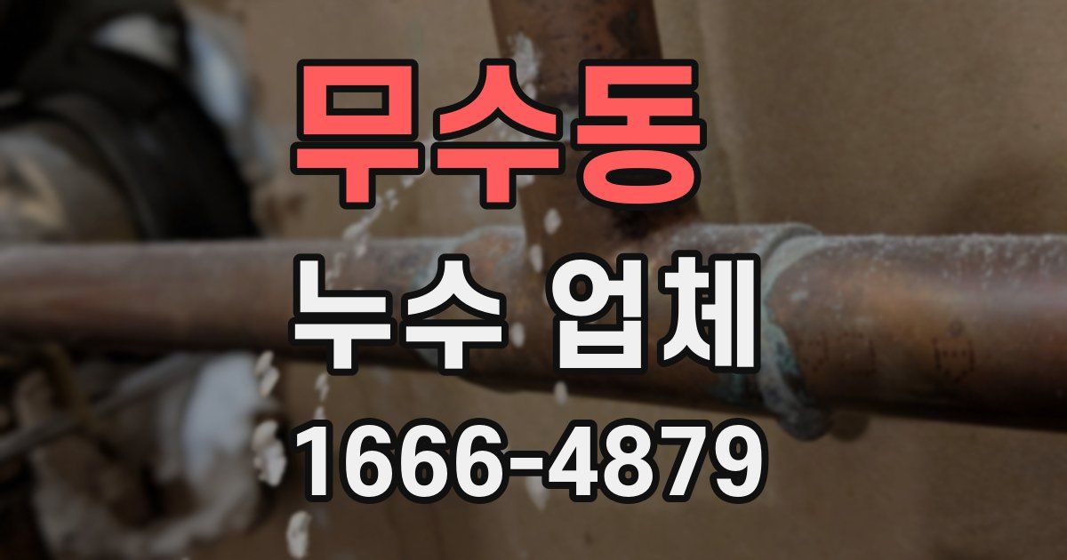 무수동 누수 업체