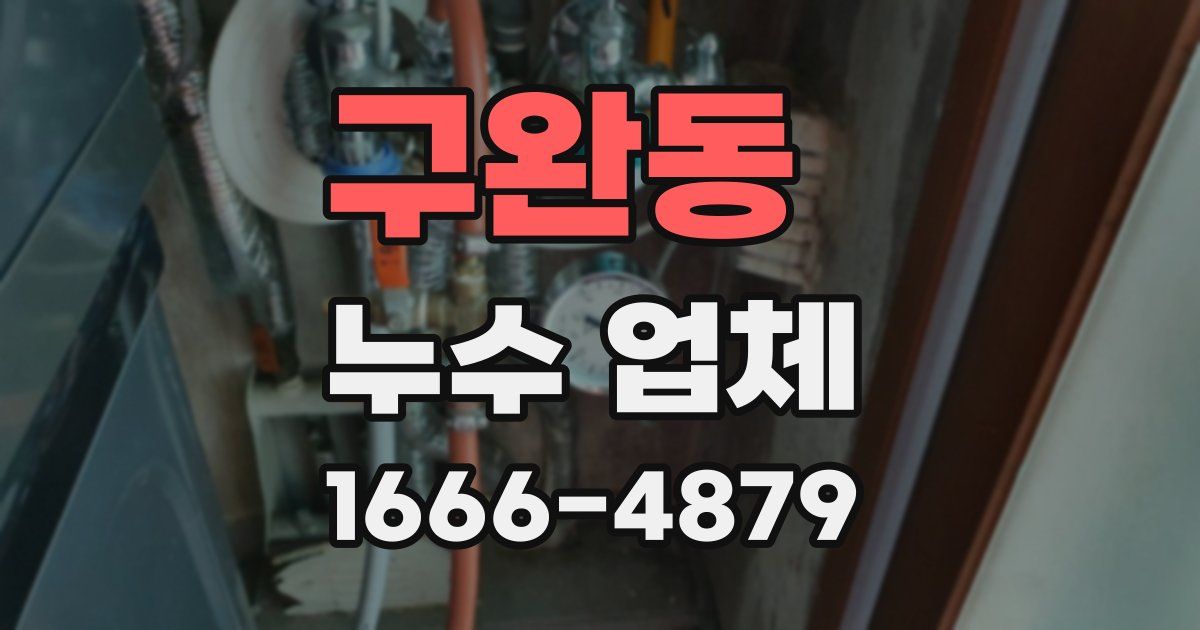 구완동 누수 업체