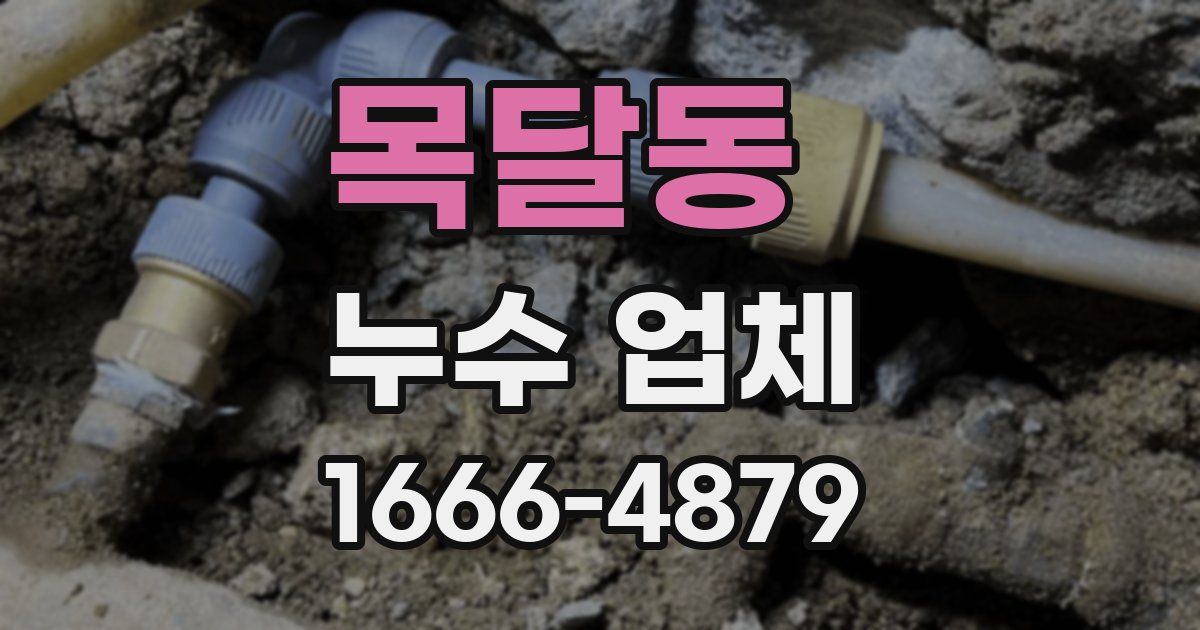 목달동 누수 업체