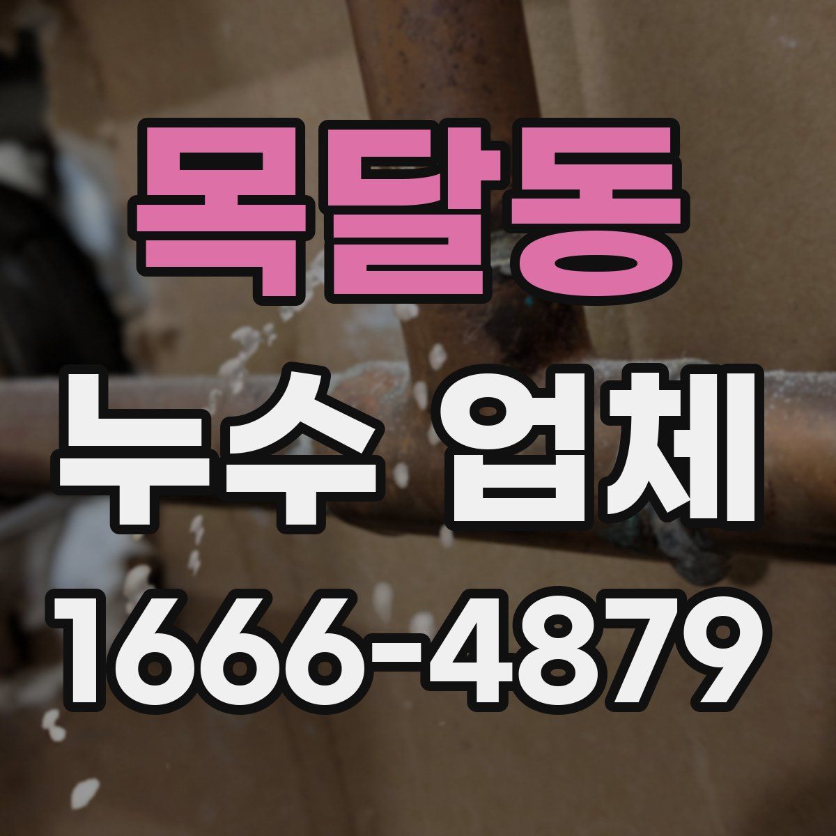 목달동 누수 업체